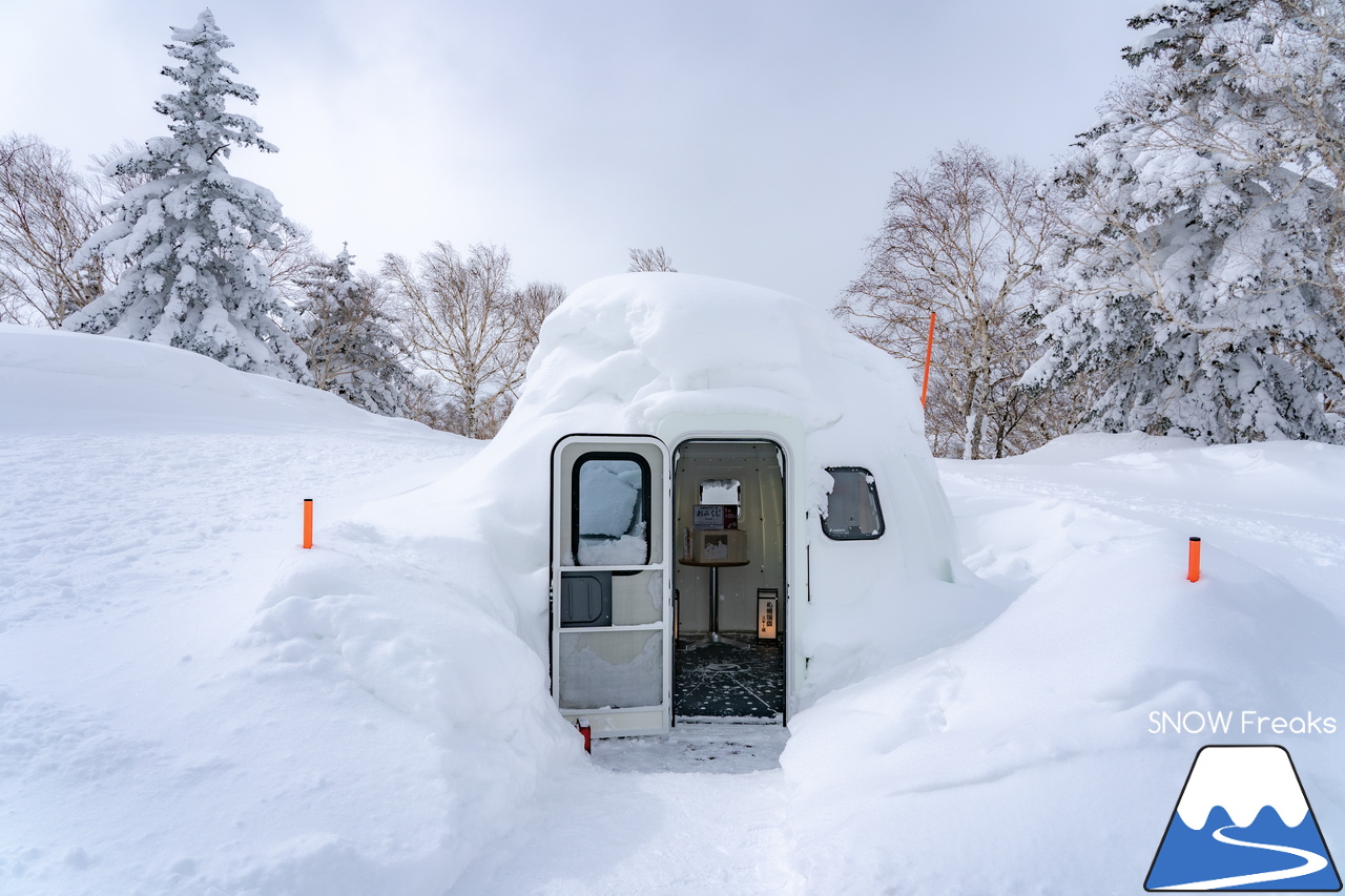 札幌国際スキー場｜３月の平日。粉雪コンディション、ゴンドラ＆リフト待ち無し、もちろん、ゲレンデも混雑無し。要するに、最高です(^_-)-☆